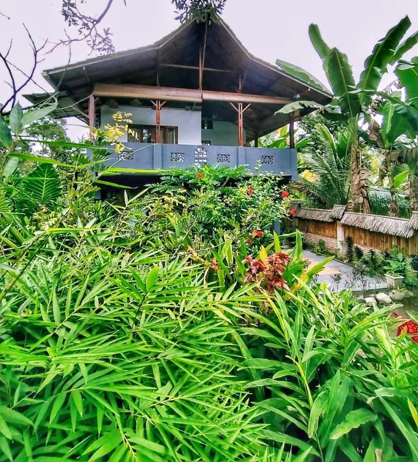 Sumatra Orangutan Discovery Villa Bukit Lawang Exterior photo