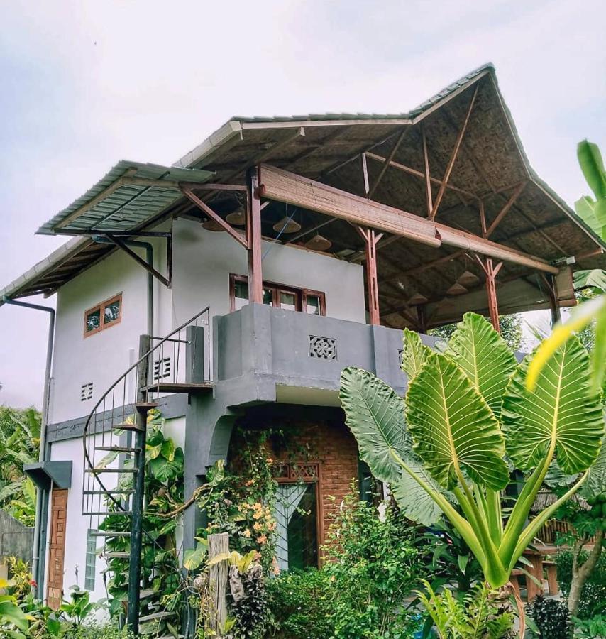 Sumatra Orangutan Discovery Villa Bukit Lawang Exterior photo